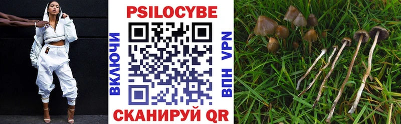 Галлюциногенные грибы Psilocybine cubensis продажа наркотиков Переславль-Залесский