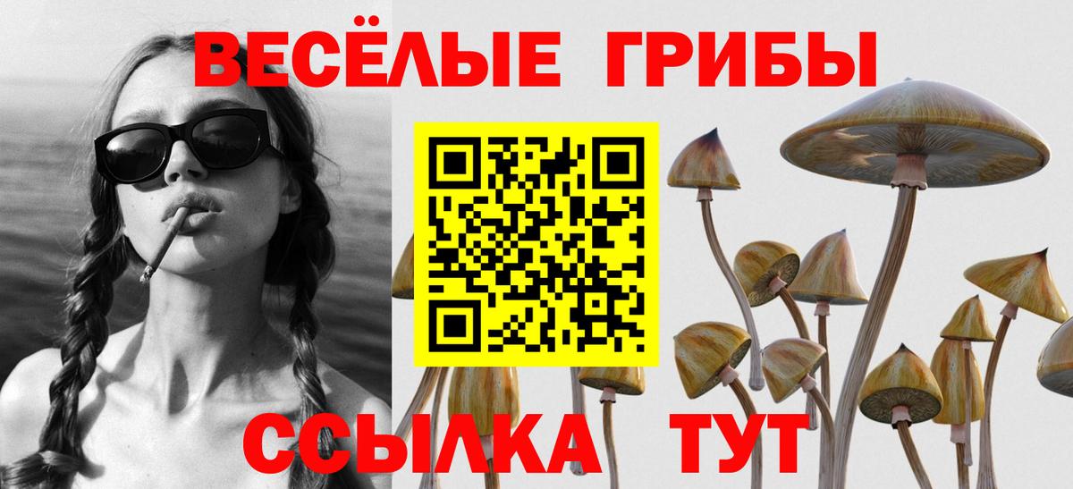 где купить наркоту  Псилоцибиновые грибы прущие грибы  Вход с VPN  Переславль-Залесский 
